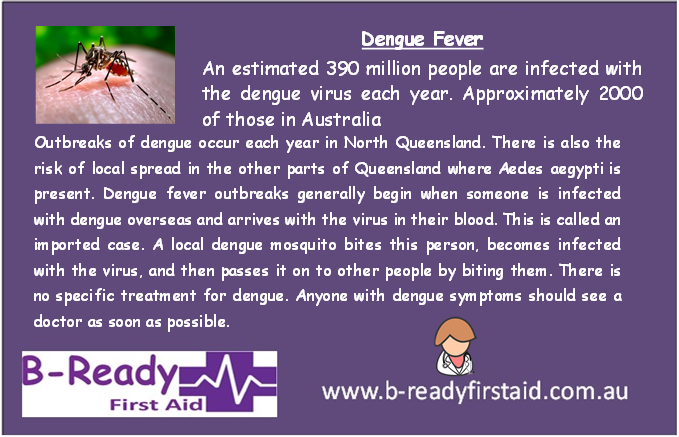 Dengue Fever by B-Ready First Aid