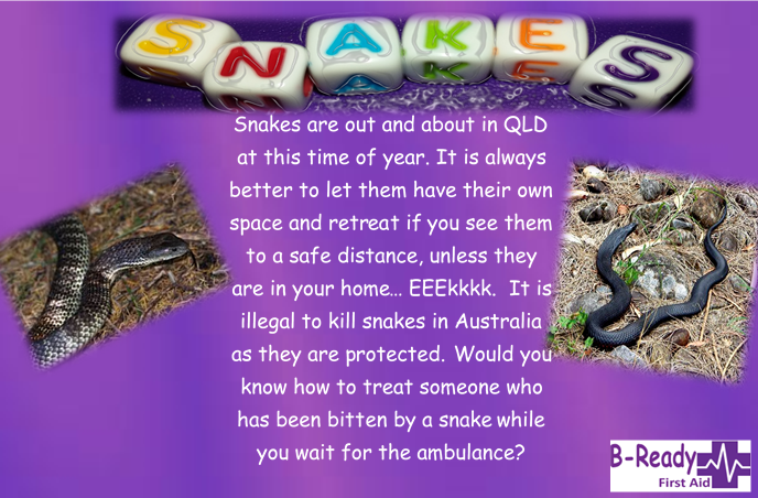B-Ready First Aid information about snakes in QLD, it's illegal to kill snakes in Australia