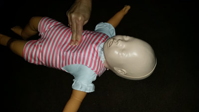 Two finger technique for CPR on an infant manikin @ a training session for B-Ready First Aid in Brisbane.
