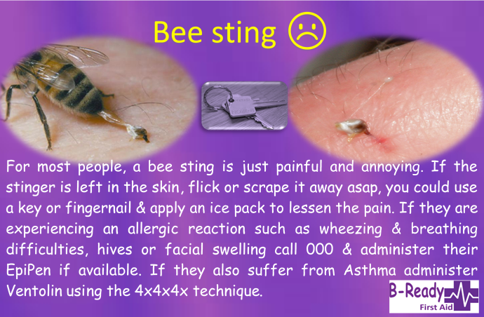 B-Ready First Aid info about Bee Sting management. For most people a bee sting is just painful & annoying. If the stinger is left in the skin, flick or scrape it away asap, you could use a key or fingernail & apply an ice pack to lessen the pain. If they are experiencing an allergic reaction such as wheezing & breathing difficulties, hives or facial swelling call 000 & administer their EpiPen if available. If they also suffer from asthma administer Ventolin using the 4x4x4 technique. 