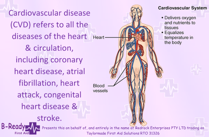 Cardiovascular Disease means that is something goes wrong you may need to know CPR