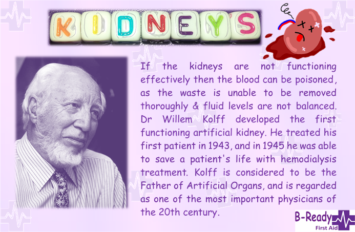 B-Ready First Aid info about the first functioning artificial kidney