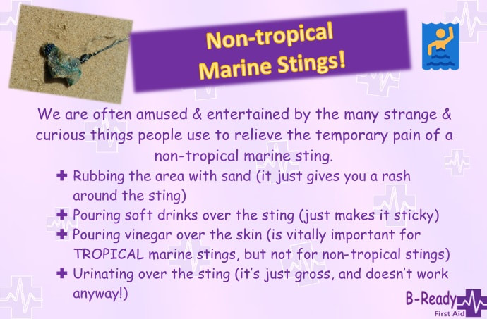 B-Ready First Aid Non-tropical marine stings information picture