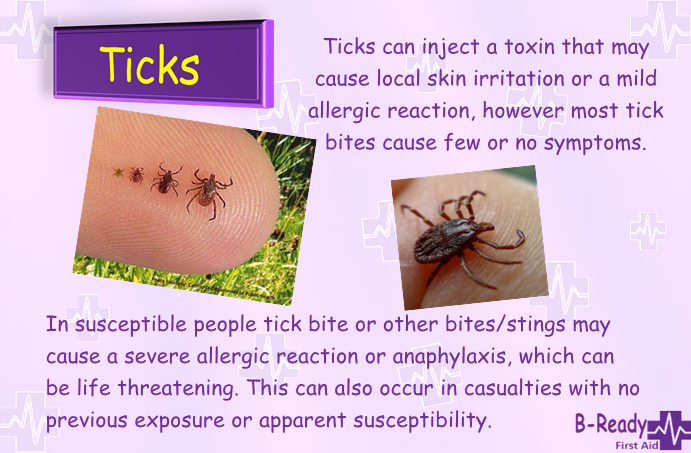 B-Ready First Aid ticks removal  information & picture